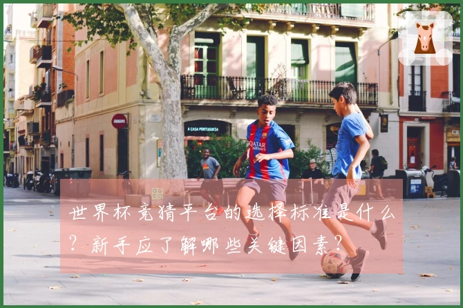 世界杯竞猜平台的选择标准是什么?新手应了解哪些关键因素?