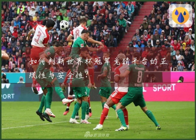 如何判断世界杯冠军竞猜平台的正规性与安全性?
